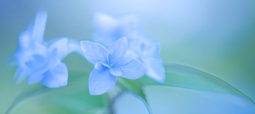 20260630ブログ画像②_Crop Image.jpg